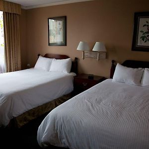 Queen Room Two Queen Beds